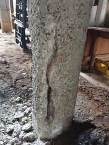 Excavated rusting reo in concrete stilt - concrete stump - Waterstop Solutions