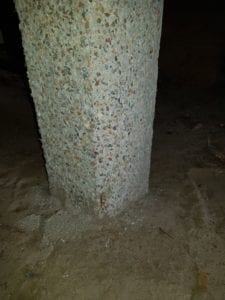 Identified rusting reo in concrete stilt - concrete stump - Waterstop Solutions