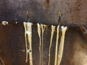 Polyurethane leaking concrete crack injection - Waterstop Solutions