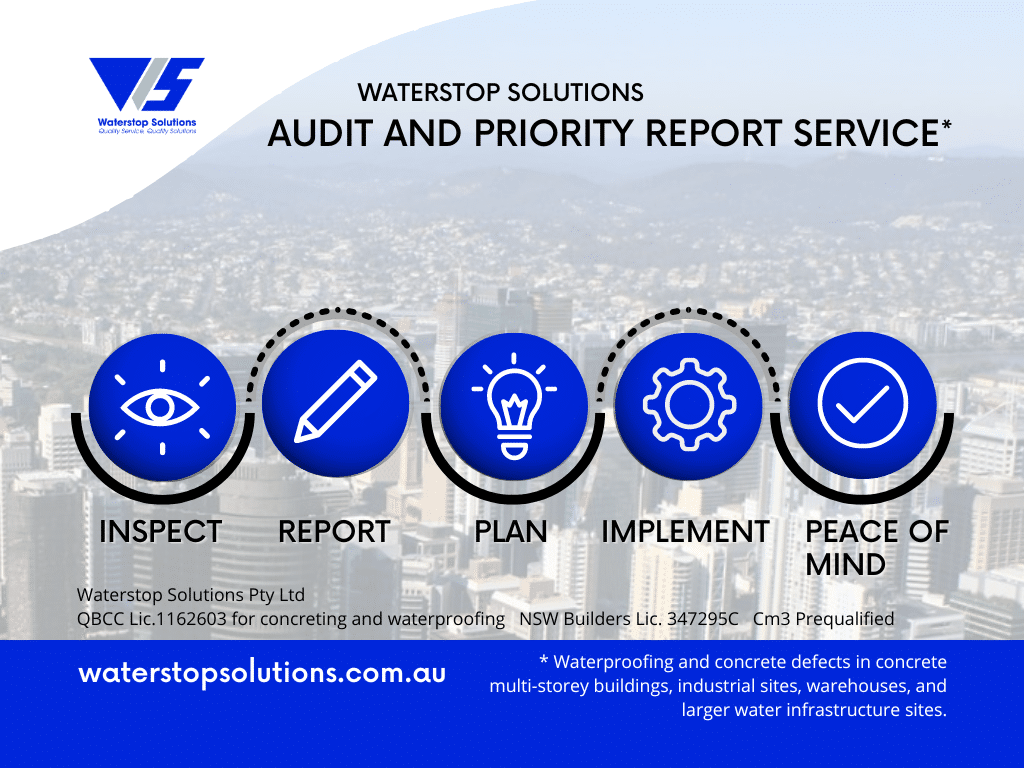 Audit and priority report service - Process flowchart - Waterstop Solutions